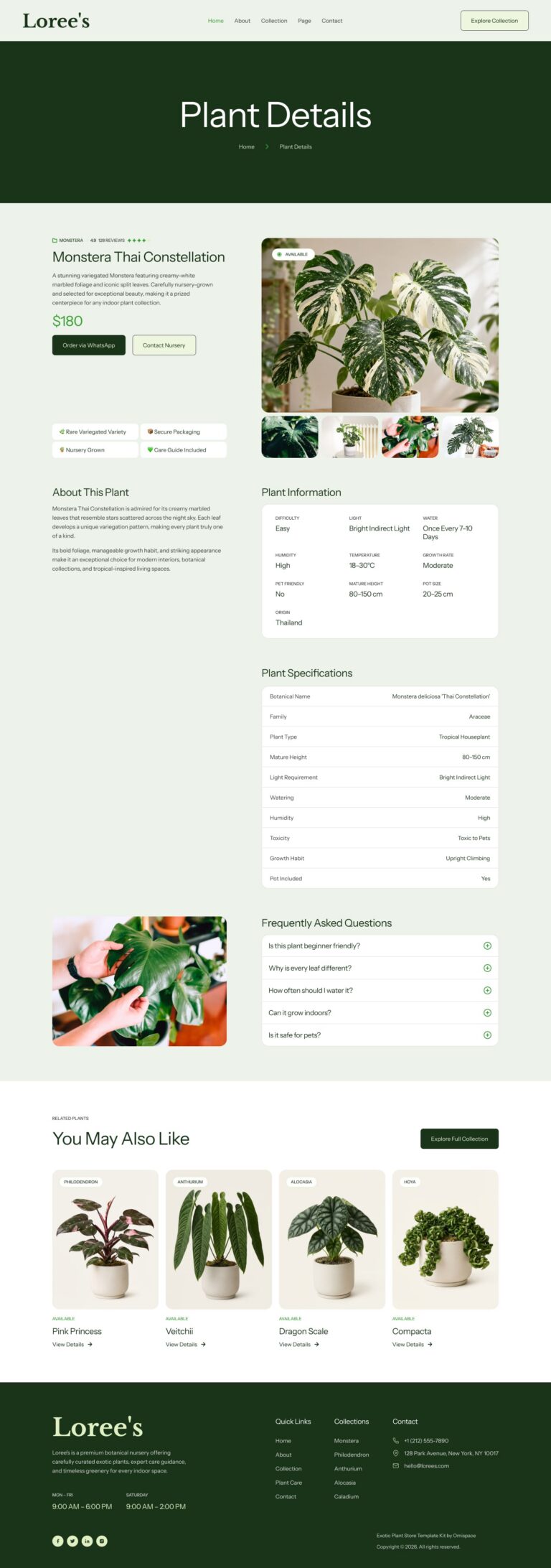4-Plant-Details