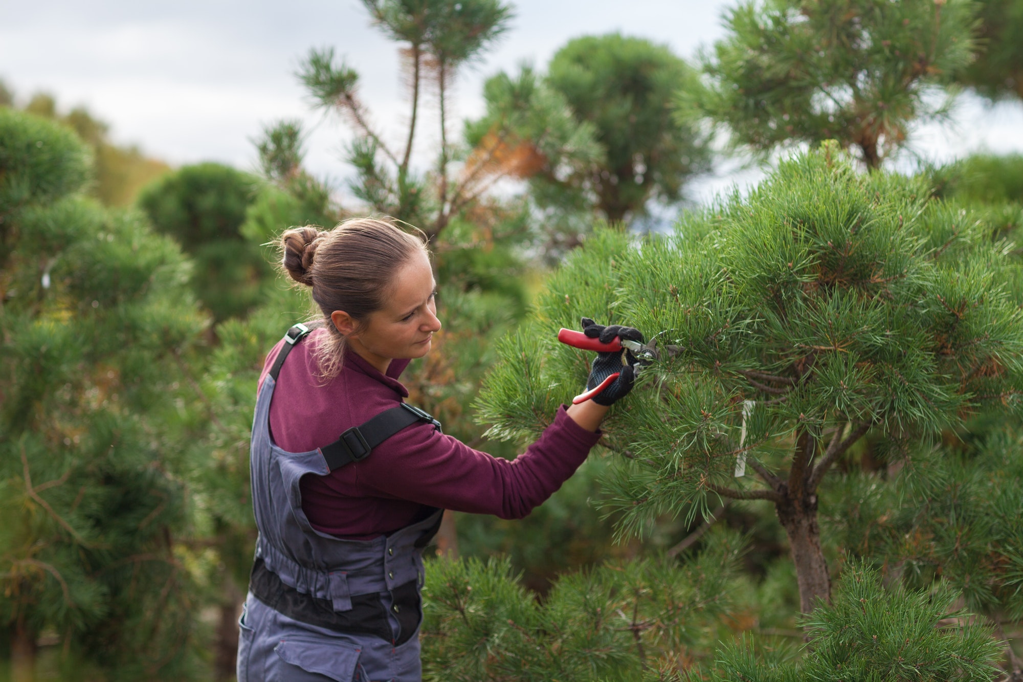 cute caucasian girl cuts branches, care and maintenance of the garden, landscape design