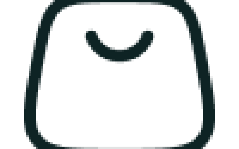 bag-3-svgrepo-com-1