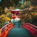 daigoji-temple-in-kyoto-japan