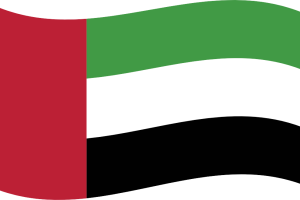 flag13