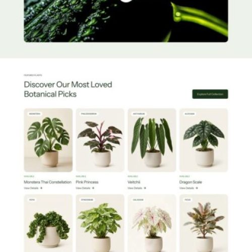Loree's – Exotic Plant Boutique Elementor Template Kit Cover